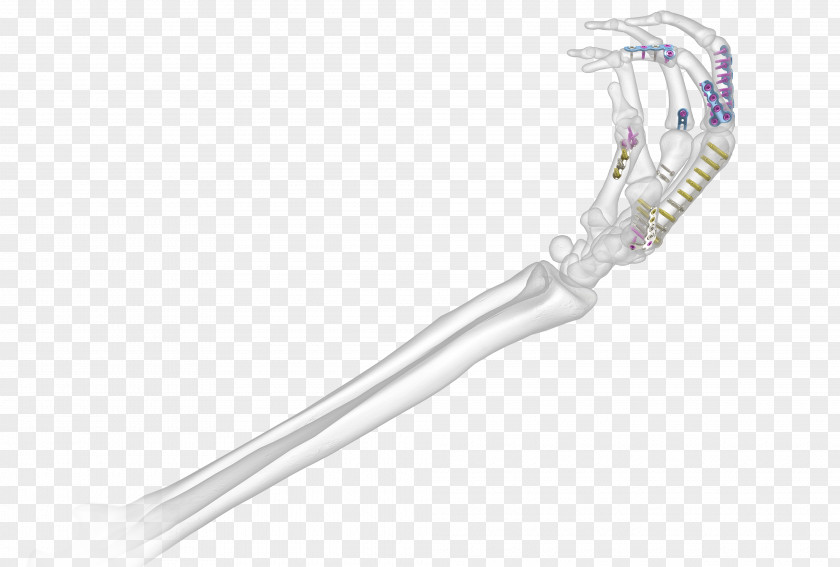 Screw Body Jewellery PNG