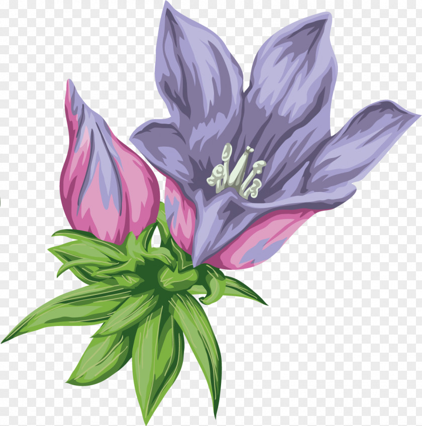 Blue Flowers Bellflowers Desktop Wallpaper Clip Art PNG