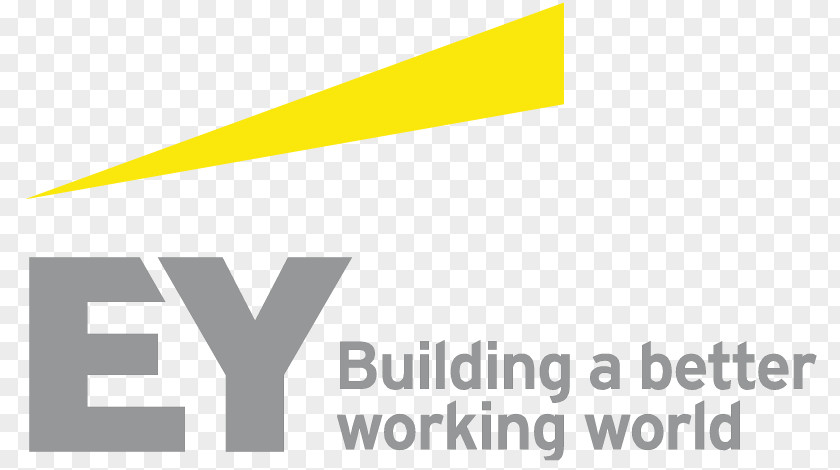 Business Ernst & Young Accounting Tax Finance PNG