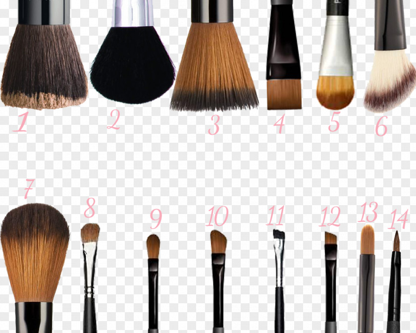 Design Eyebrow Makeup Brush Hair Coloring PNG