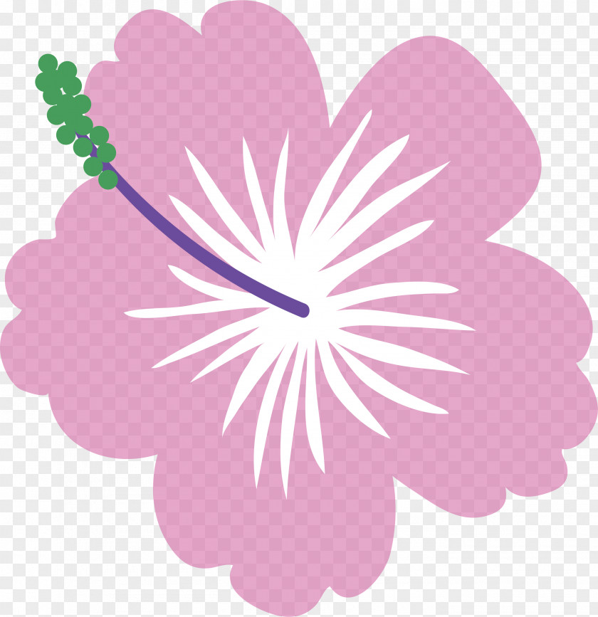 Floral Design PNG