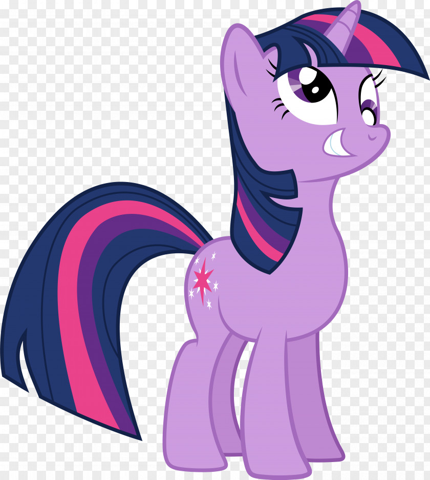 Twilight Sparkle Pinkie Pie Rainbow Dash Rarity Princess Celestia PNG