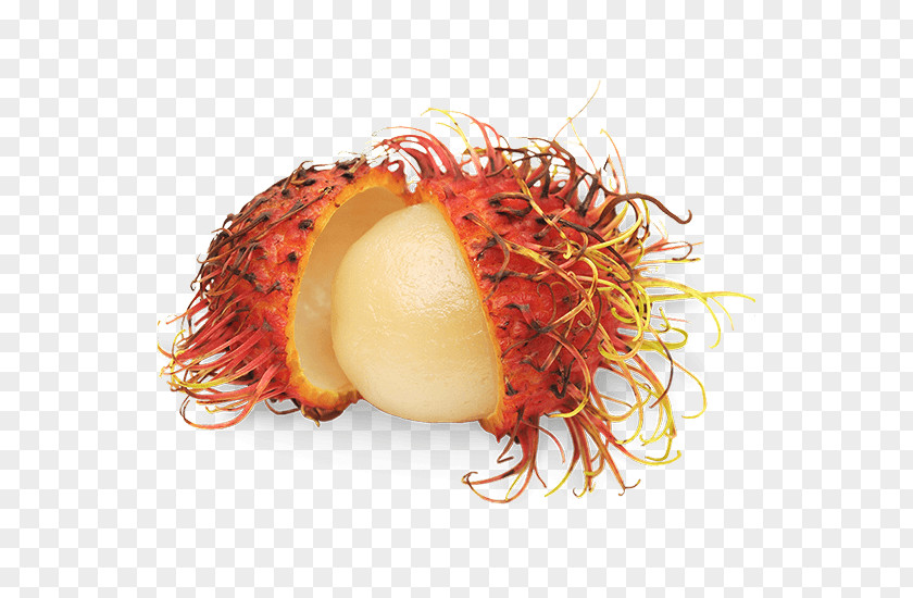Vegetable Fruit Rambutan Food Chives PNG