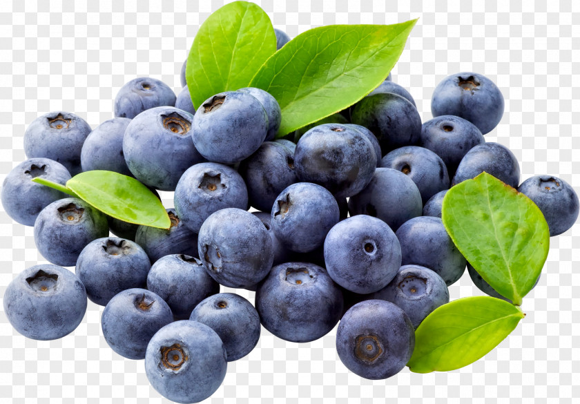 Blueberry Free Download Juice Muffin Clip Art PNG