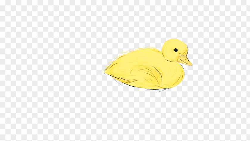 Duck Yellow Beak PNG