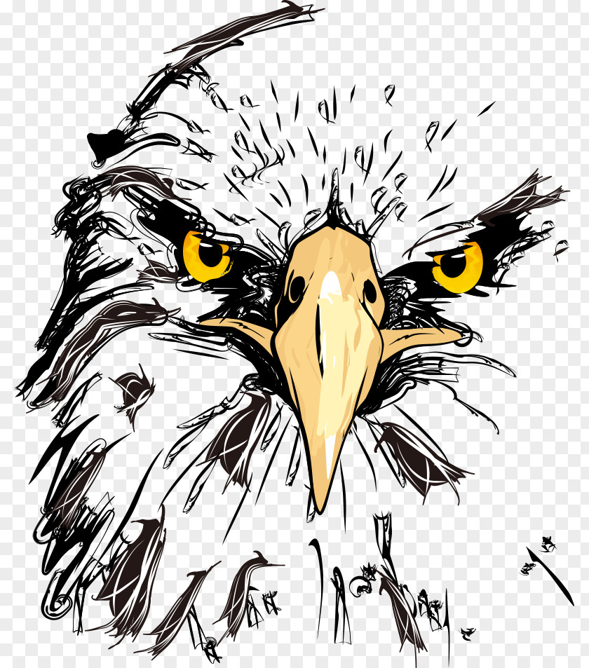 Printed Owl Bald Eagle Drawing Sketch PNG