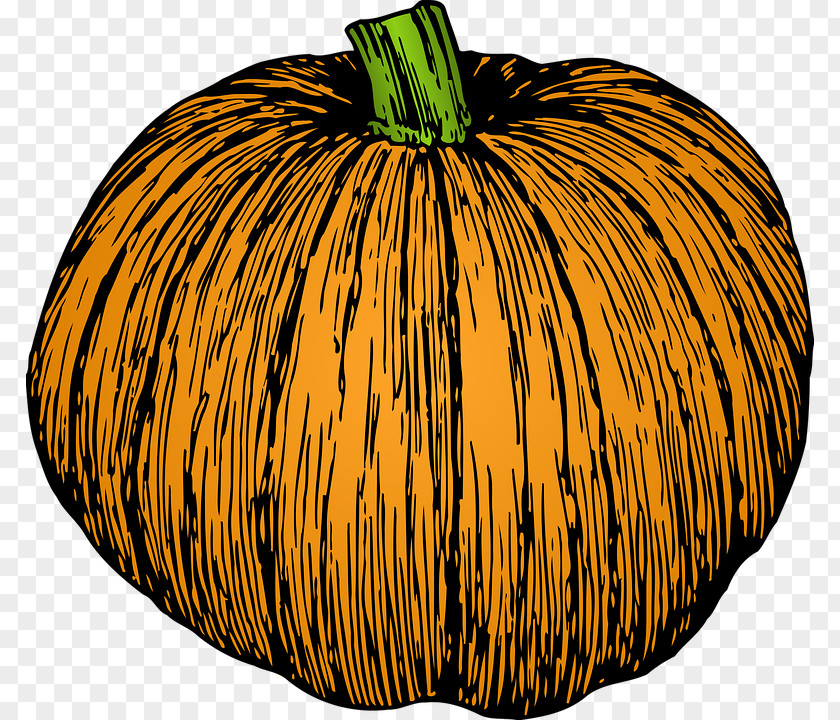 Pumpkin Jack-o'-lantern Clip Art Drawing Calabaza PNG