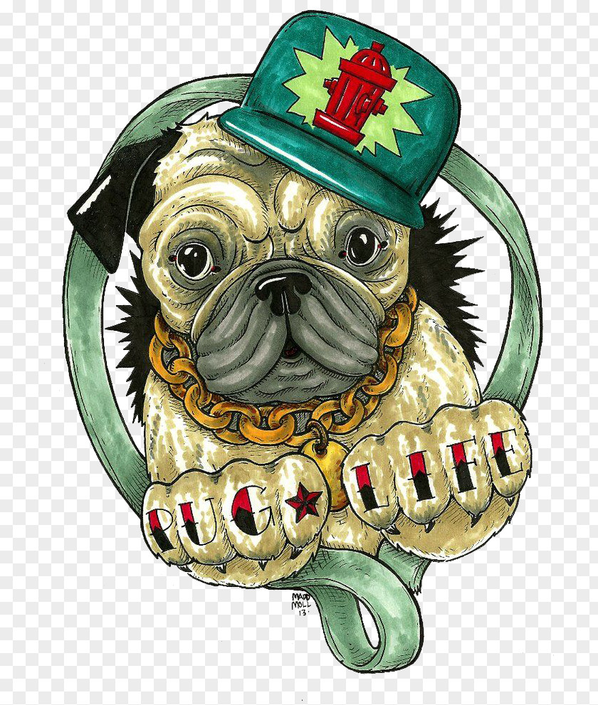 Shih Tzu Sporting Group Bulldog Cartoon PNG