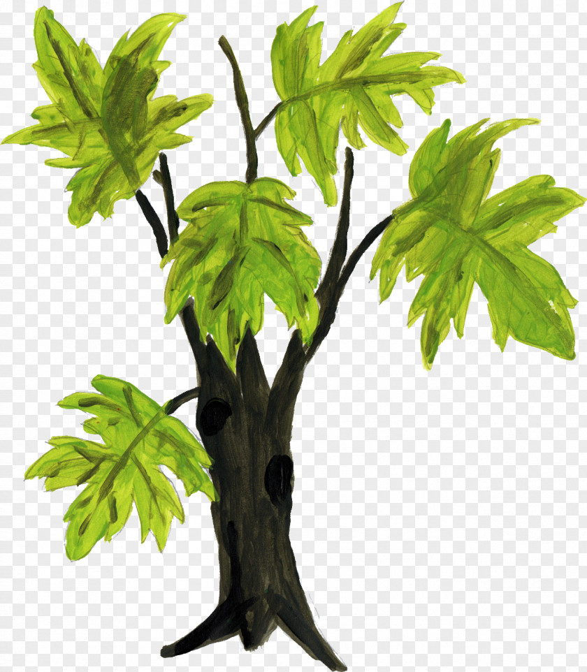 Tree Transparent Drawing Sketch PNG