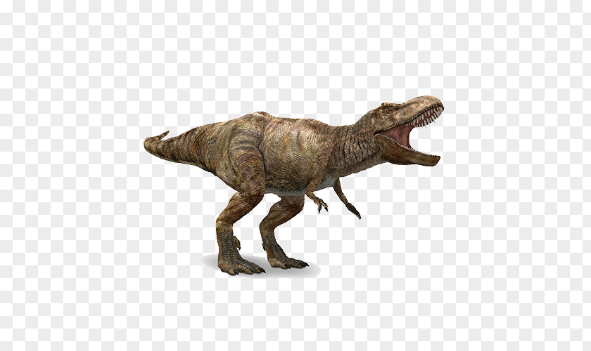 Tyrannosaurus Apatosaurus Spinosaurus Velociraptor Stegosaurus PNG