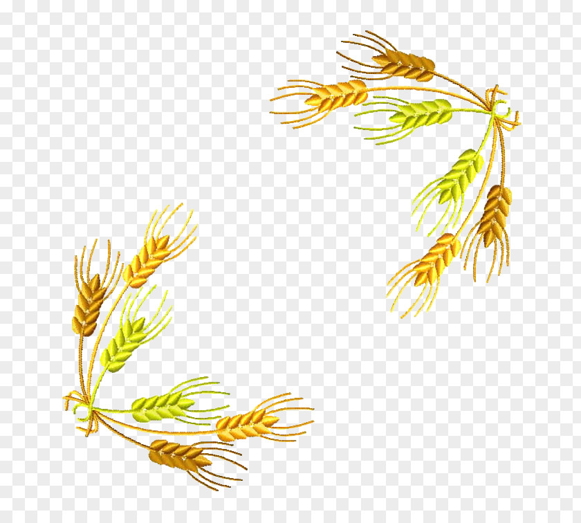 Woven Wheat Flour PNG
