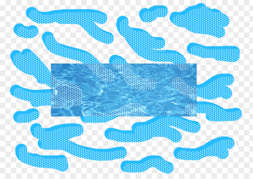 Animation Marine Mammal Line Font PNG