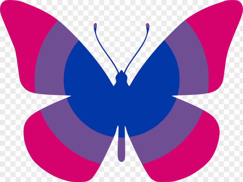 Butterfly Clip Art PNG