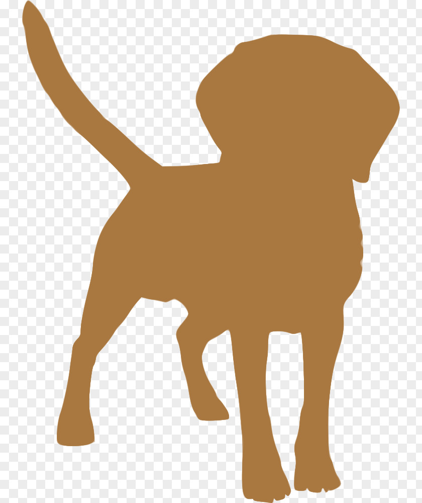 Cosmetics Album Dog Breed Puppy Tibetan Spaniel Mastiff English PNG