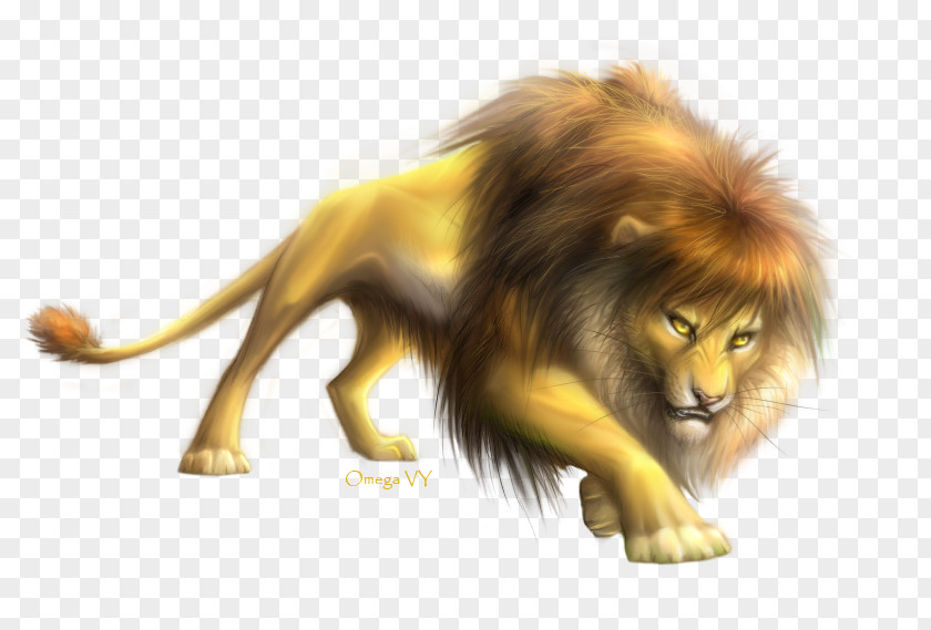 Go Away Lion Drawing Digital Art Painting PNG