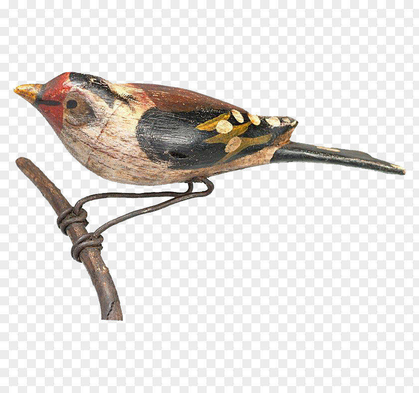 Hand-painted Birds Bird Finch Wren Beak Fauna PNG