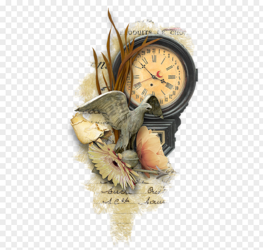 Horloge Vector Still Life Photography Clock PNG