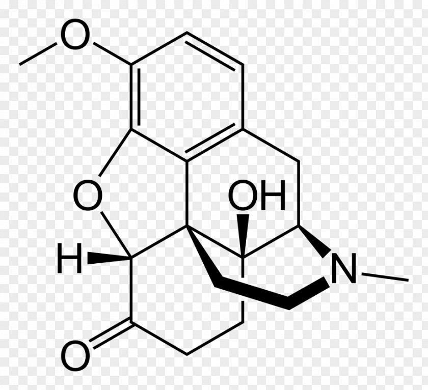 Oxycodone Opioid Pharmaceutical Drug Thebaine PNG