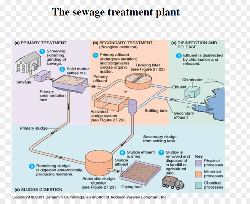 Sewage Microorganism Water Treatment Activated Sludge Wastewater PNG