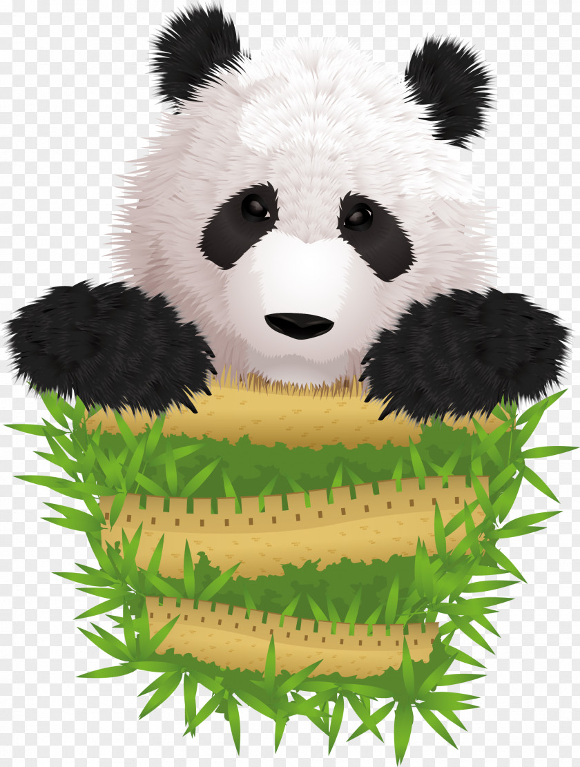 Vector Cute Panda Rare Giant Cuteness Illustration PNG