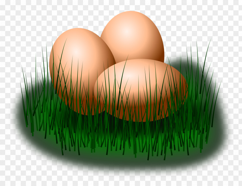 Eggs Fried Egg Chicken Easter Clip Art PNG
