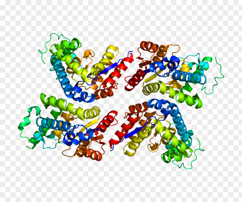 EYA2 Protein Family Genetic Code PNG