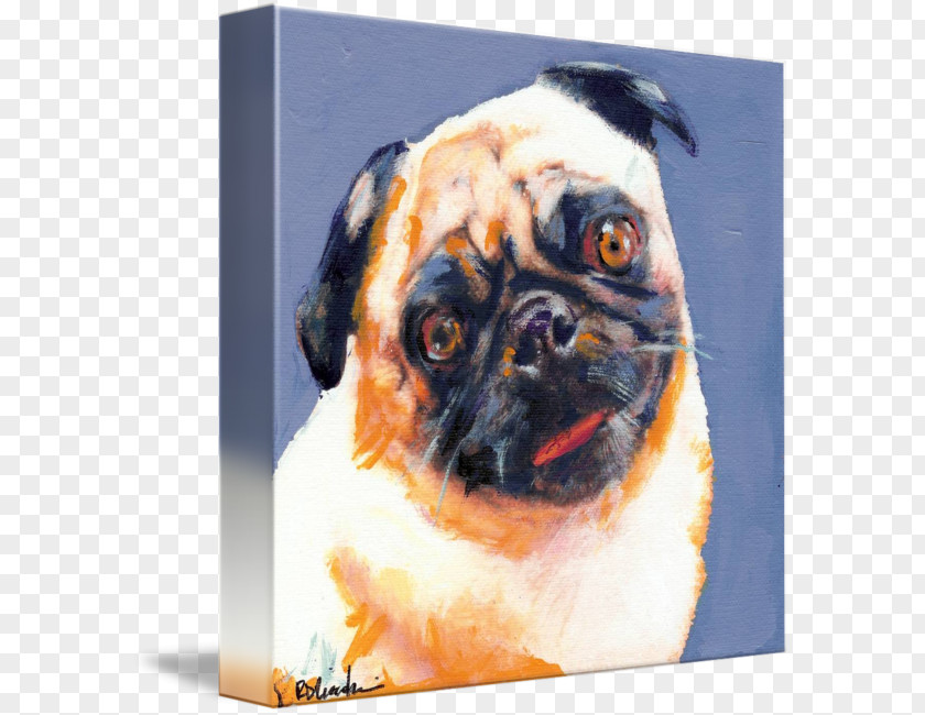 Painting Pug The Blue Boy Dog Breed Pinkie PNG