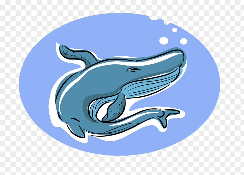 Blue Shark Design Dolphin Whale Illustration PNG