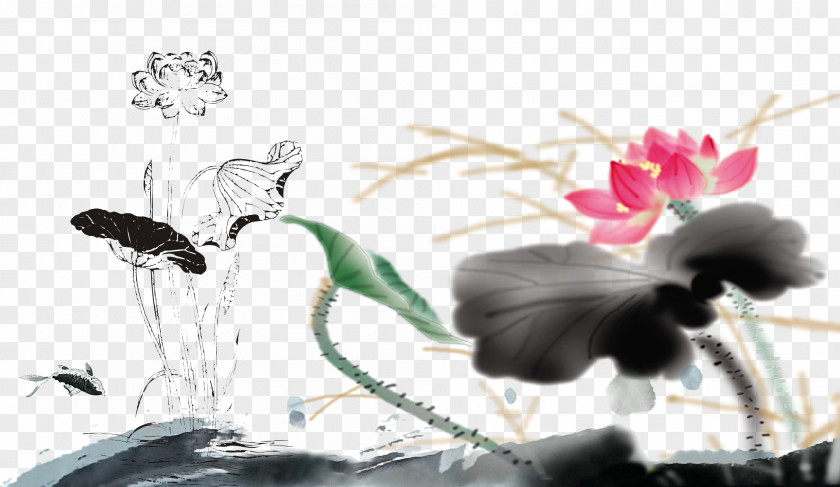 Chinese Style,Lotus Topic Heyexiang Budaya Tionghoa Nelumbo Nucifera Painting PNG