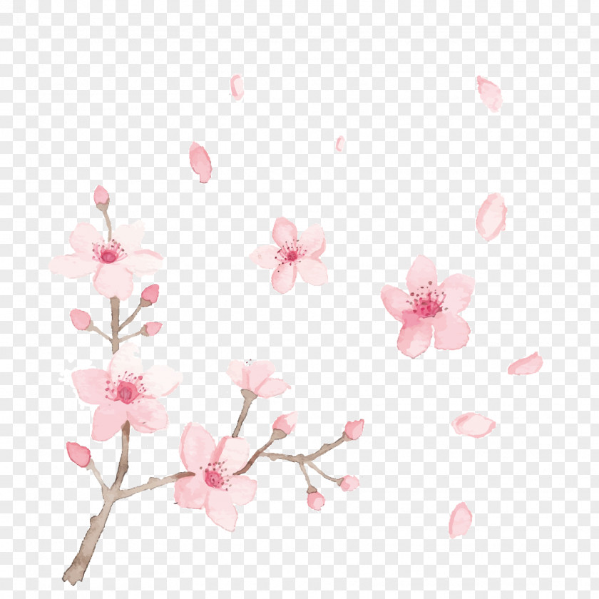 Vector Hand-painted Cherry Blossoms Brazil Chemical Depilatory Hair Removal Cream Waxing PNG