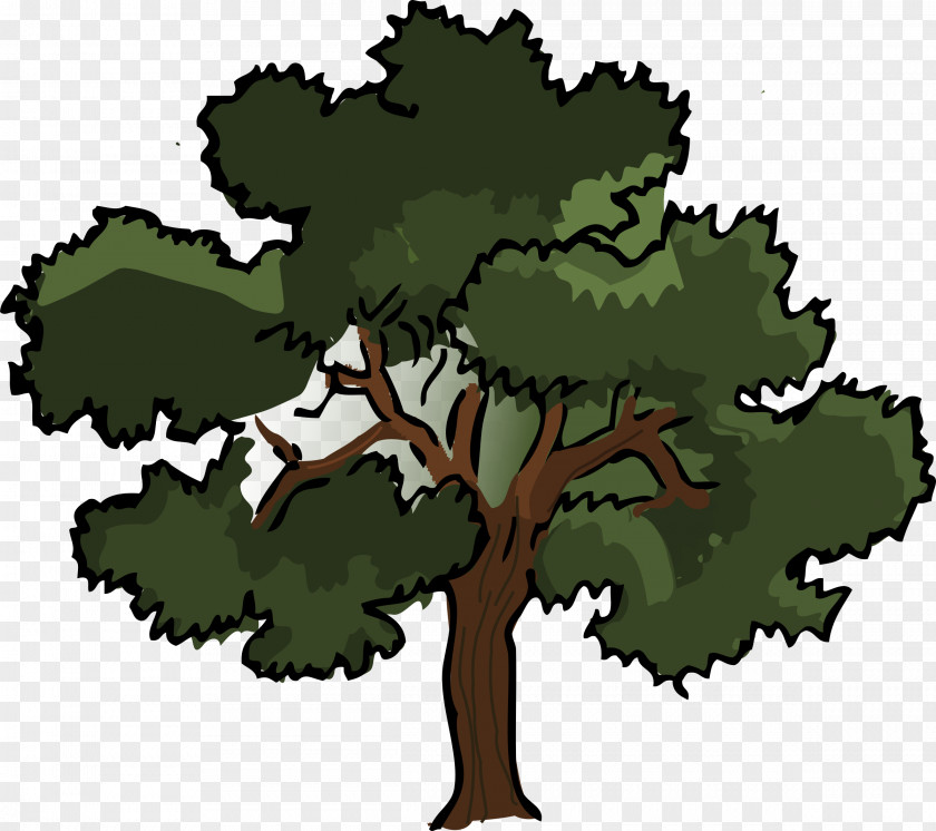 Cartoon Tree Oak Clip Art PNG