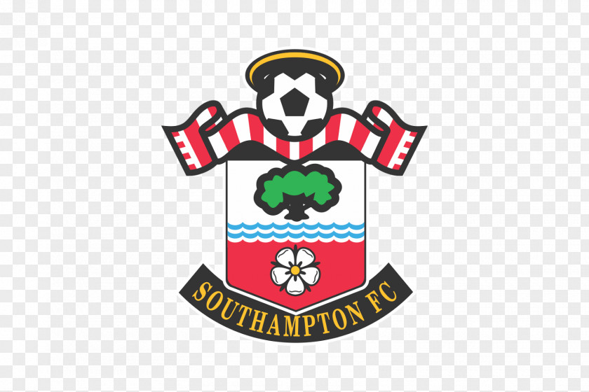 Cdr Southampton F.C. Premier League Newcastle United FA Cup PNG