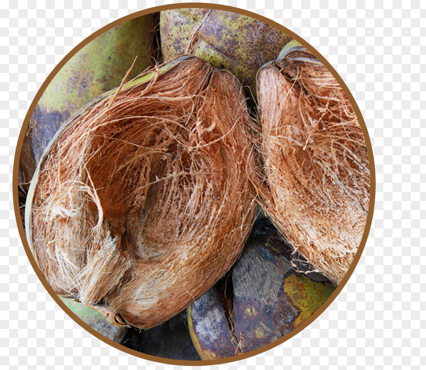 Coconut Husk Commodity Ingredient PNG