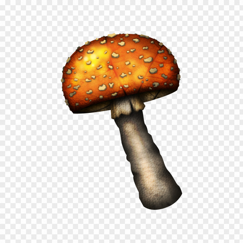 Fungi Edible Mushroom Clip Art PNG