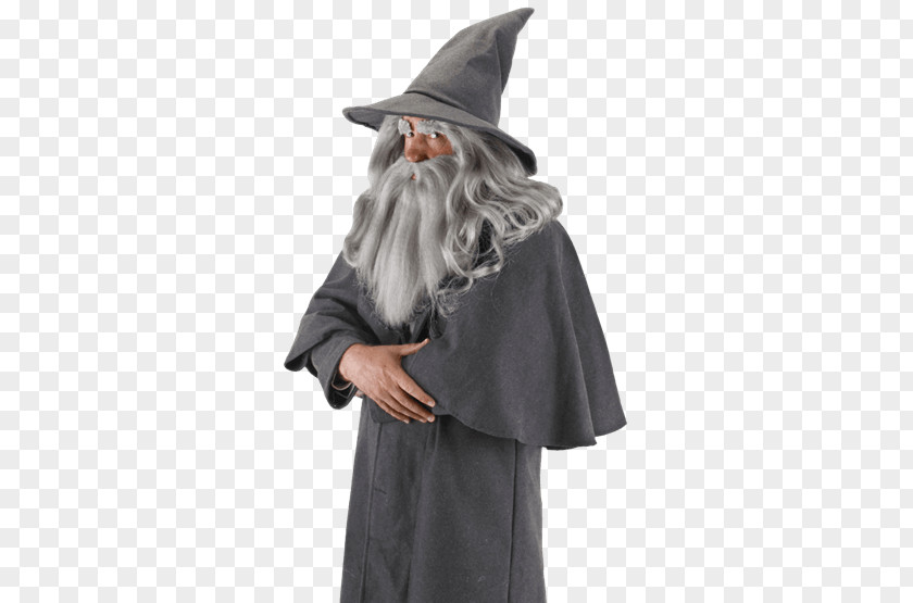 Wizard Gandalf Arwen Frodo Baggins The Lord Of Rings Gollum PNG