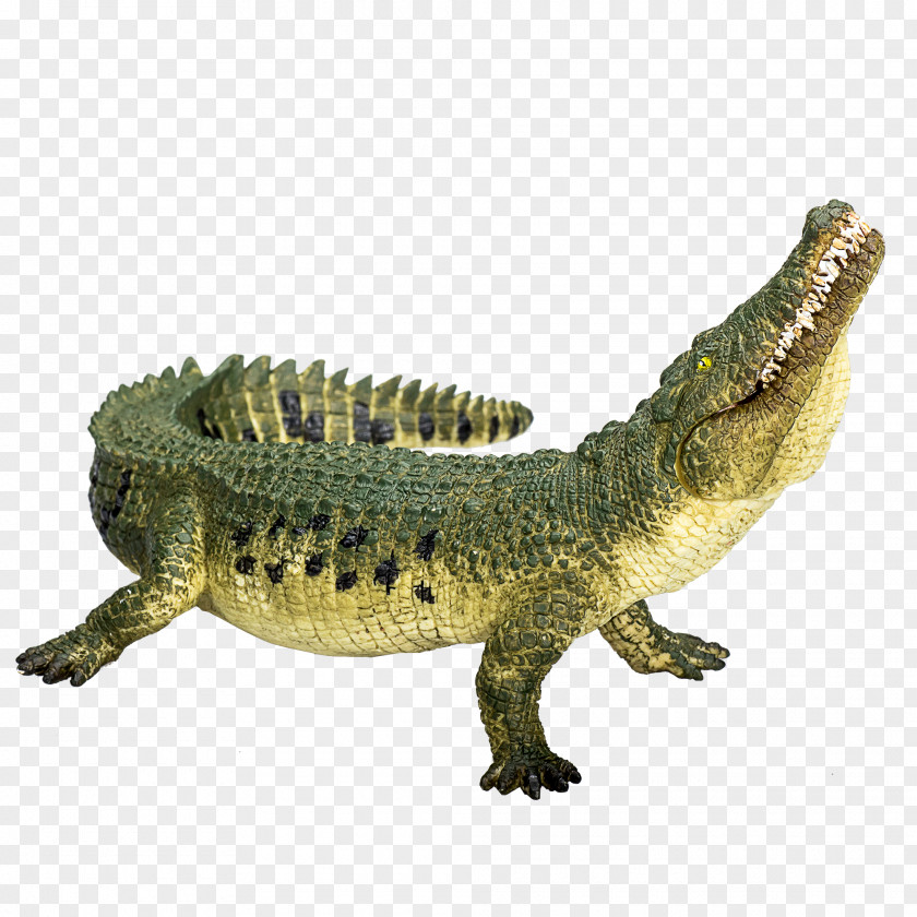 American Alligator Saltwater Crocodile Nile Action & Toy Figures Animal PNG