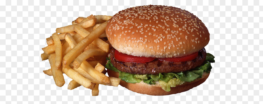 Barbecue Hamburger Fast Food French Fries Chicken Sandwich Kebab PNG