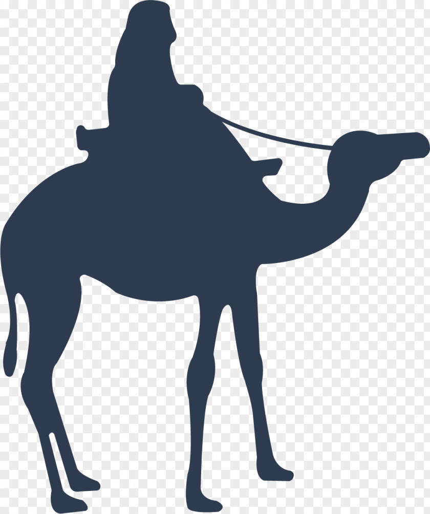 Blue Camel Download Icon PNG