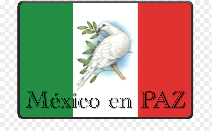 Compas El Universal Peace Imagenes De Mexico Idea PNG