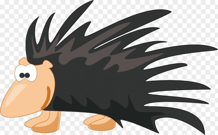 Hedgehog Cartoon PNG