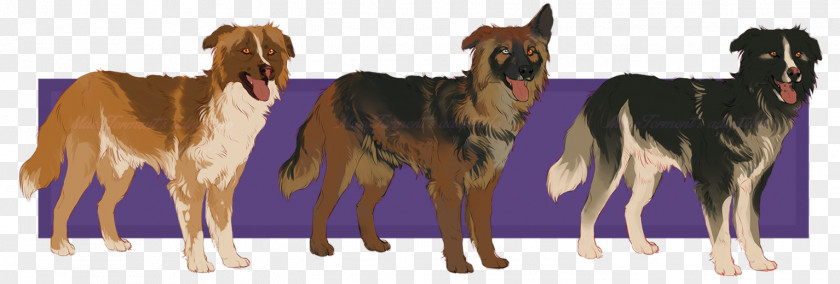 Mustang Dog Breed Freikörperkultur PNG