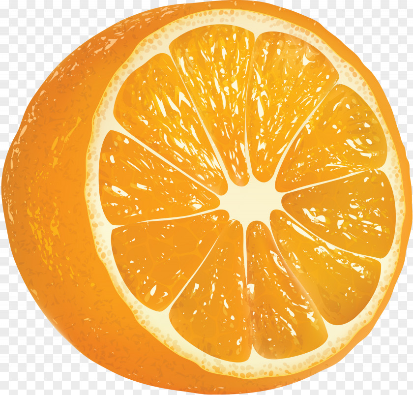Orange Vector Graphics Clip Art Image PNG