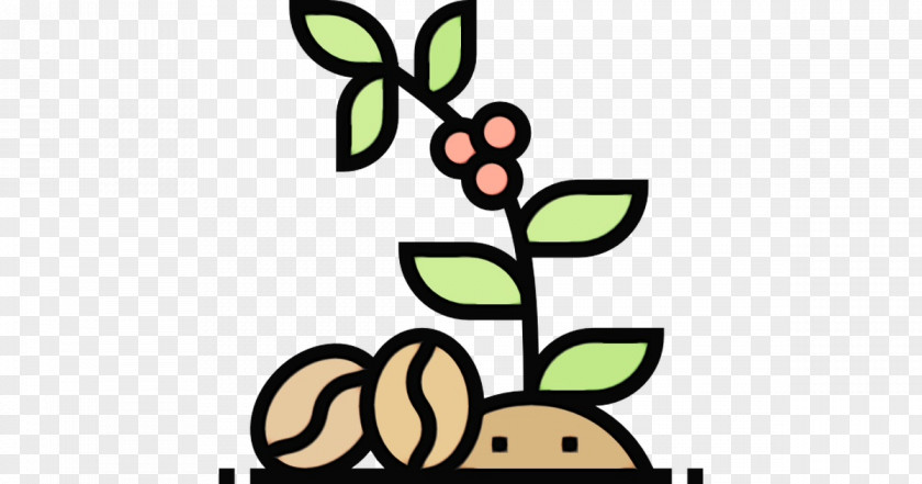 Plant Leaf Coffee Bean PNG