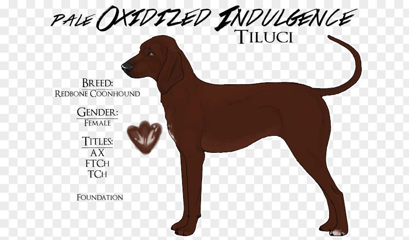 Redbone Coonhound Dog Breed German Shorthaired Pointer Dachshund PNG