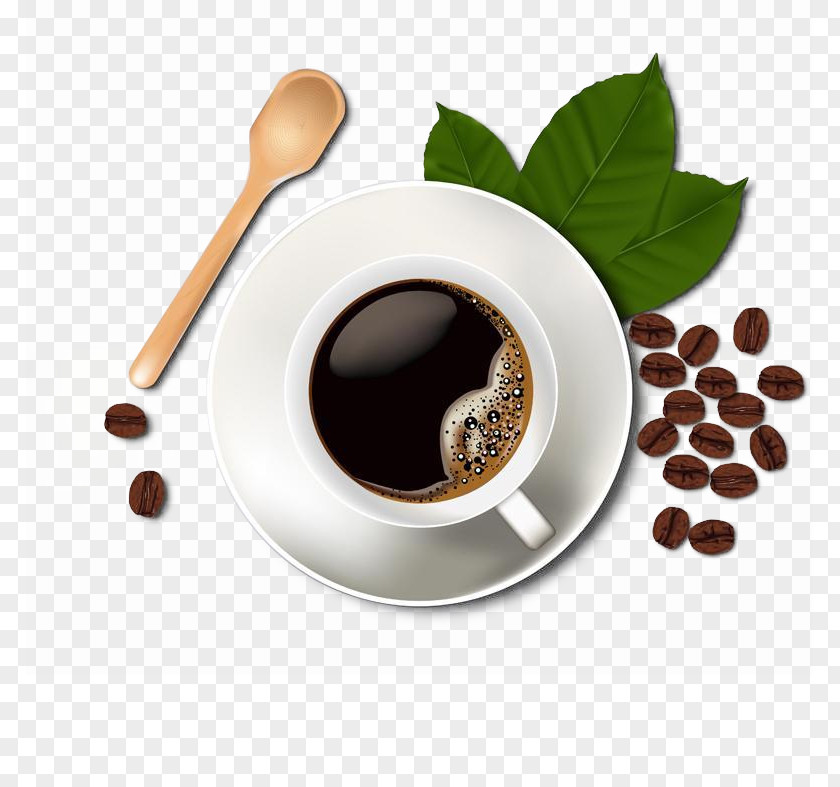 Coffee Bean Espresso Cafe PNG