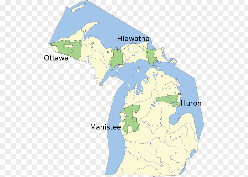 Forest Hiawatha National Huron-Manistee Forests Ottawa United States PNG