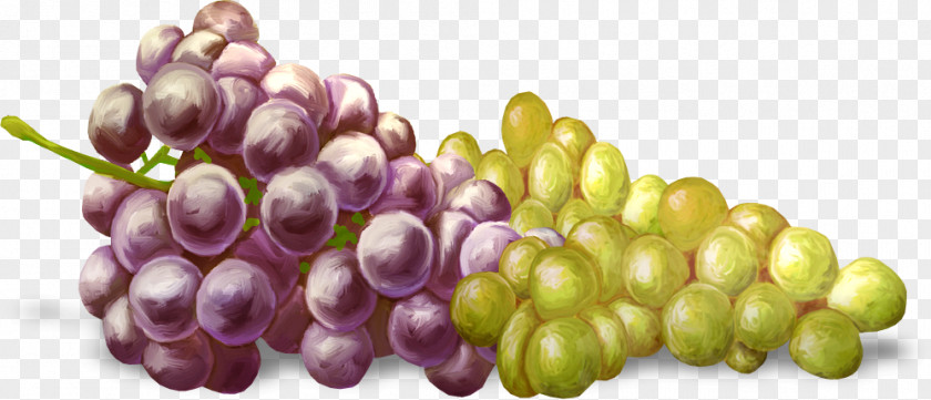 Hand-painted Grapes Kyoho Grape Fruit PNG
