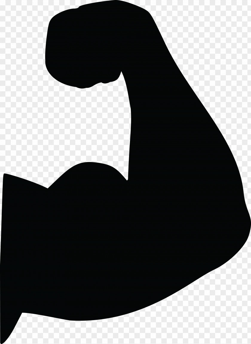 Arm Biceps Muscle Clip Art PNG