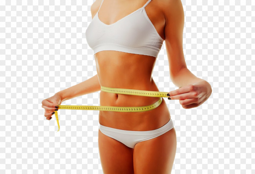 Health Weight Loss Dieting Eating Fat PNG