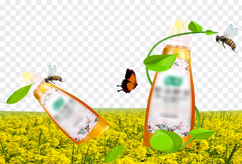 Natural Honey Designer PNG
